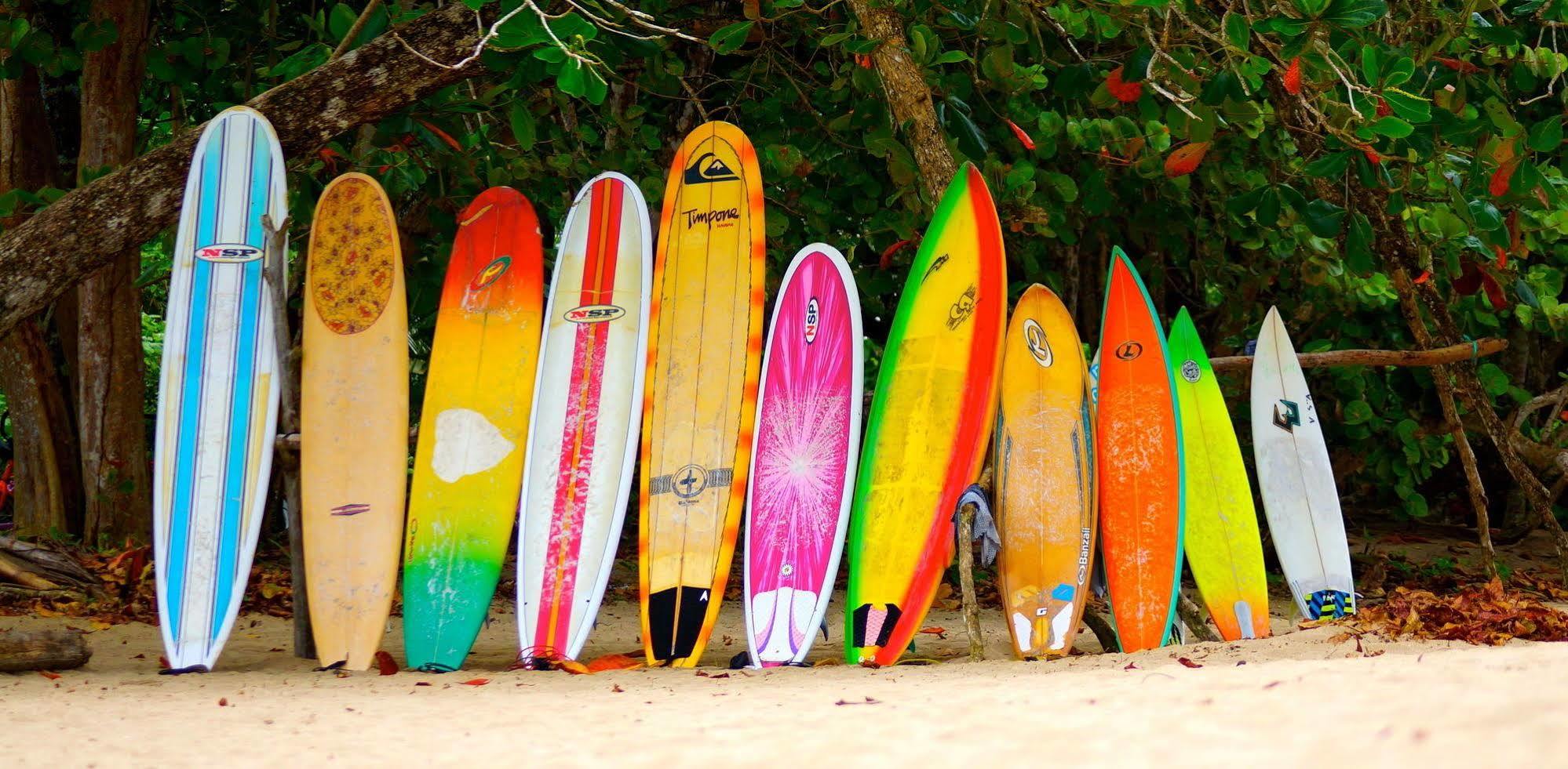 Physis Caribbean Bed & Breakfast Puerto Viejo de Talamanca Extérieur photo